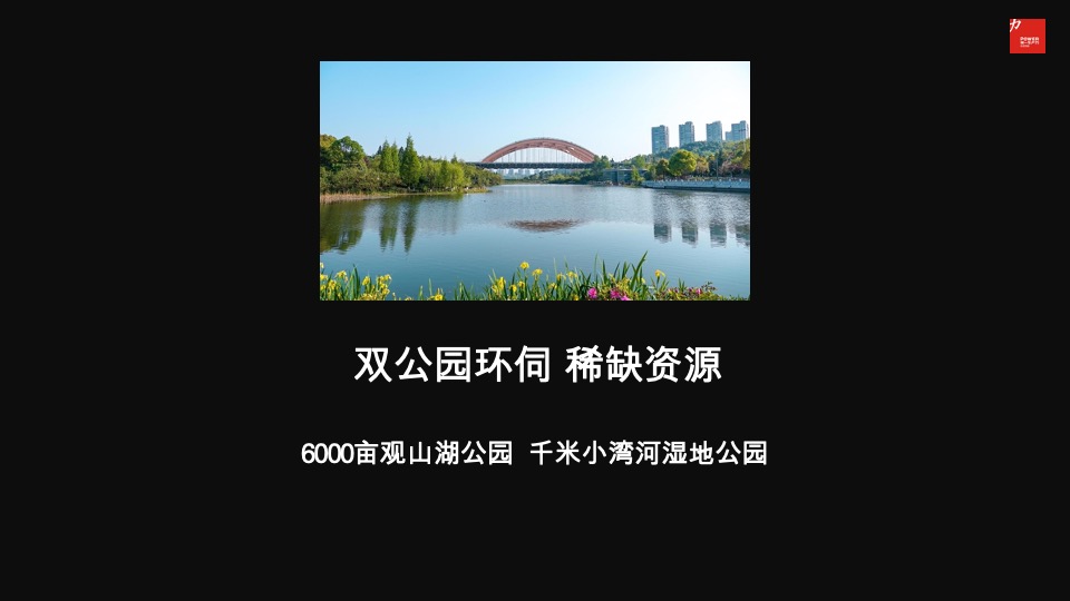 远大峯望超级大平层传播案#公园#