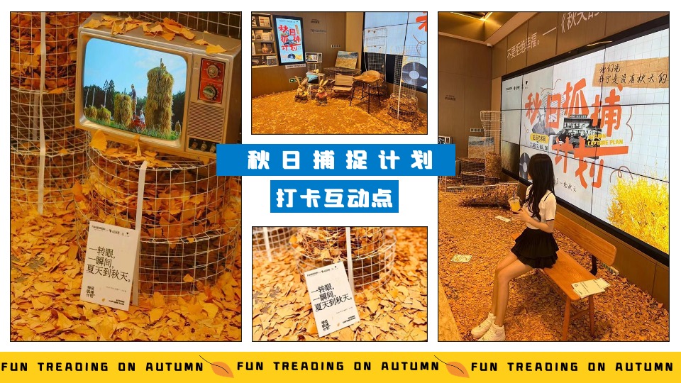 商业地产9月月度秋季营销系列（秋日捕捉计划主题）活动策划方案