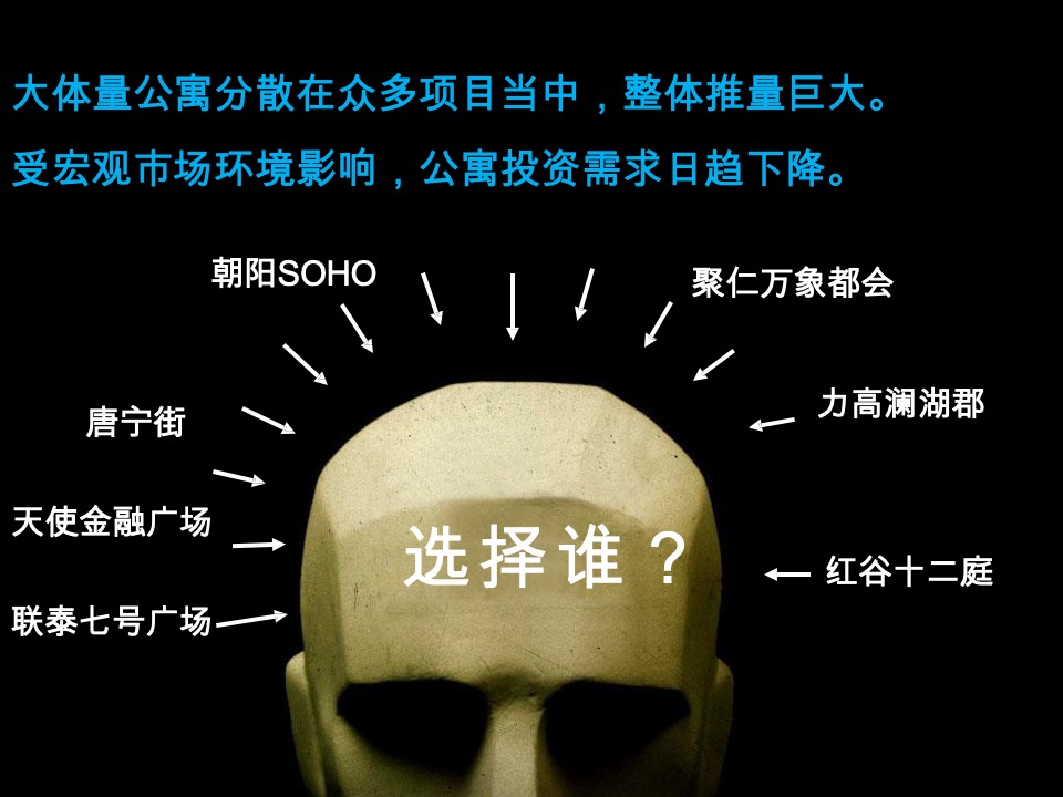 南昌新力南郡公寓项目整合推广提案