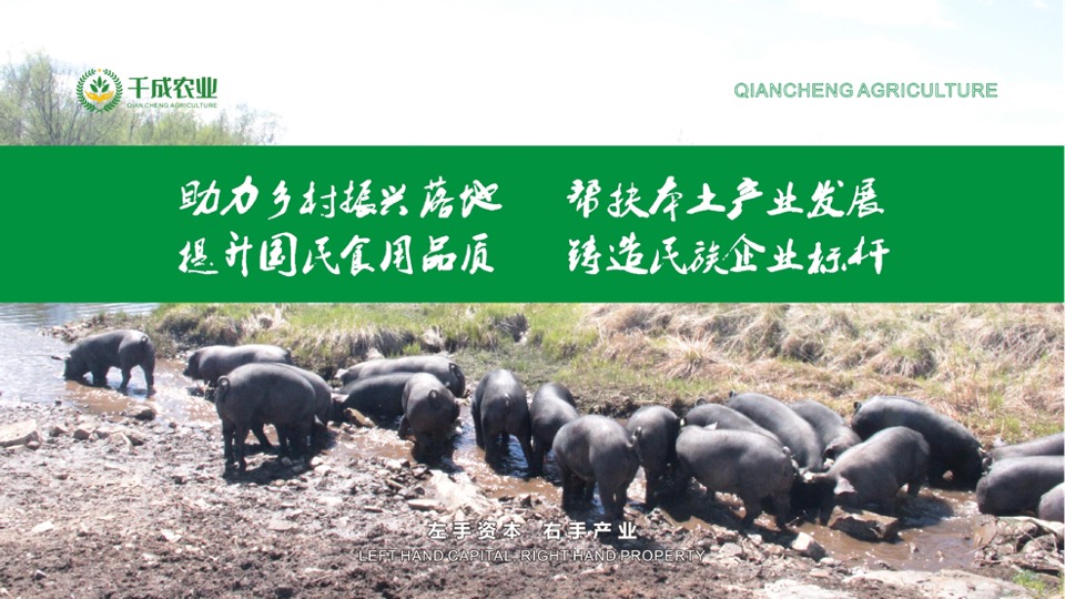 农业4.0项目商业计划书