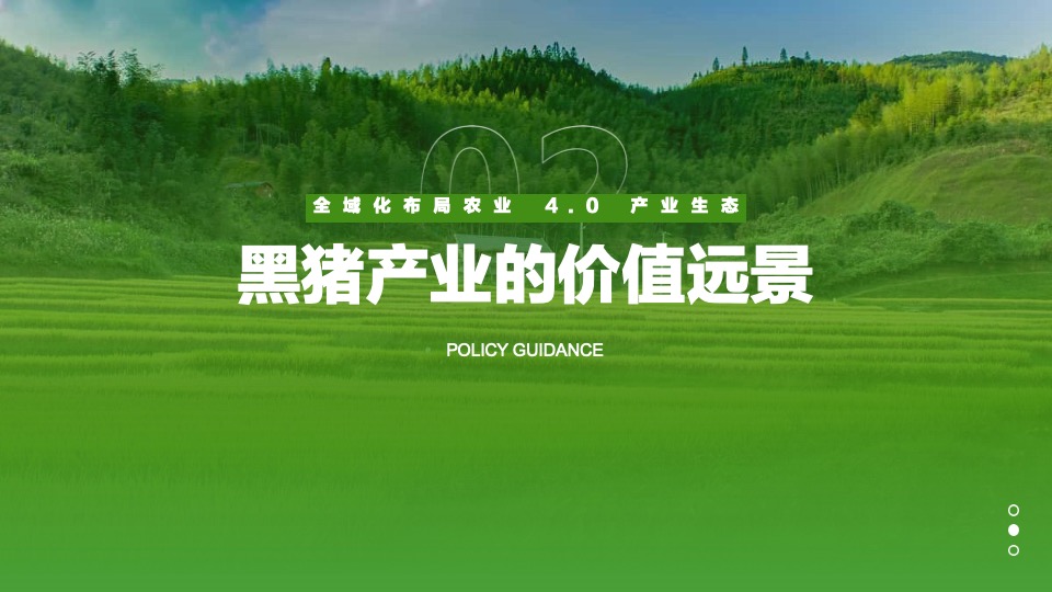 农业4.0项目商业计划书