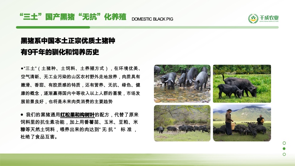 农业4.0项目商业计划书