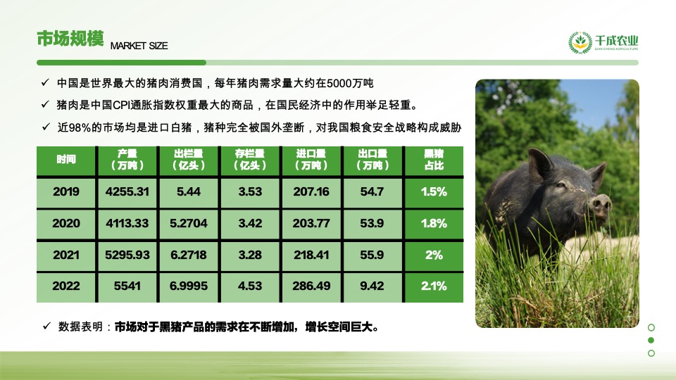 农业4.0项目商业计划书
