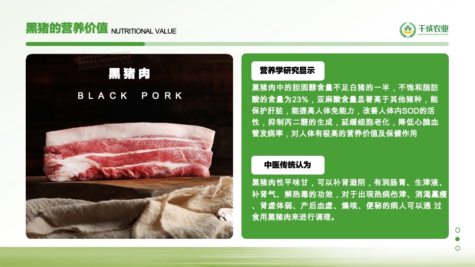 农业4.0项目商业计划书