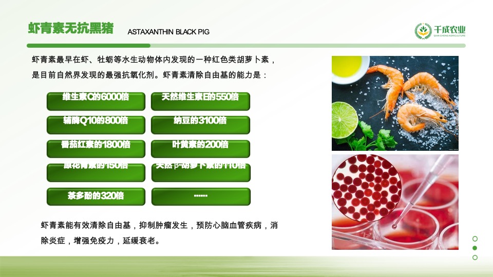 农业4.0项目商业计划书