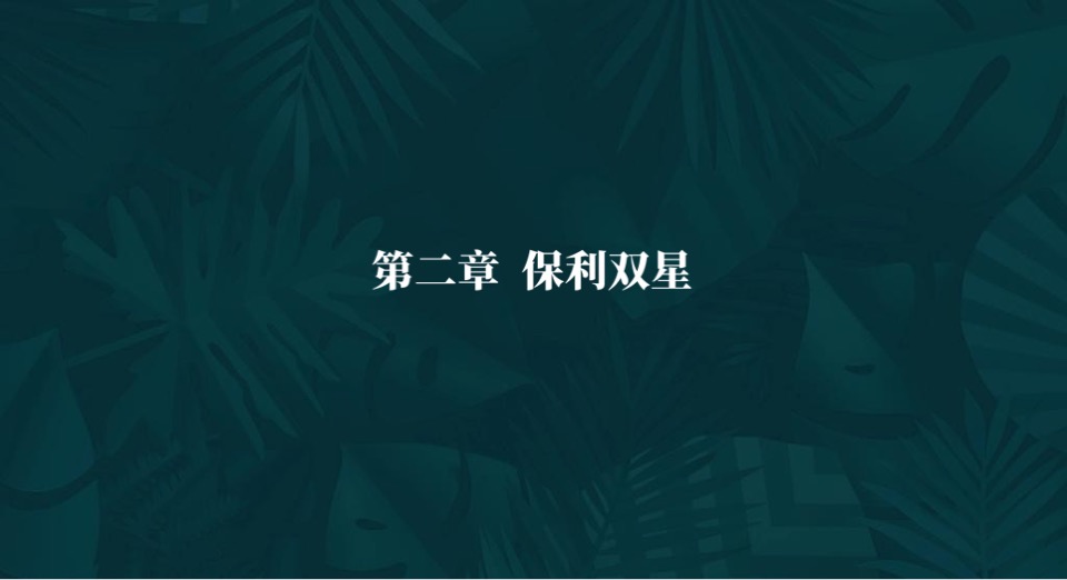 保利中央公园推广策略提报 #市府芯# #公园#