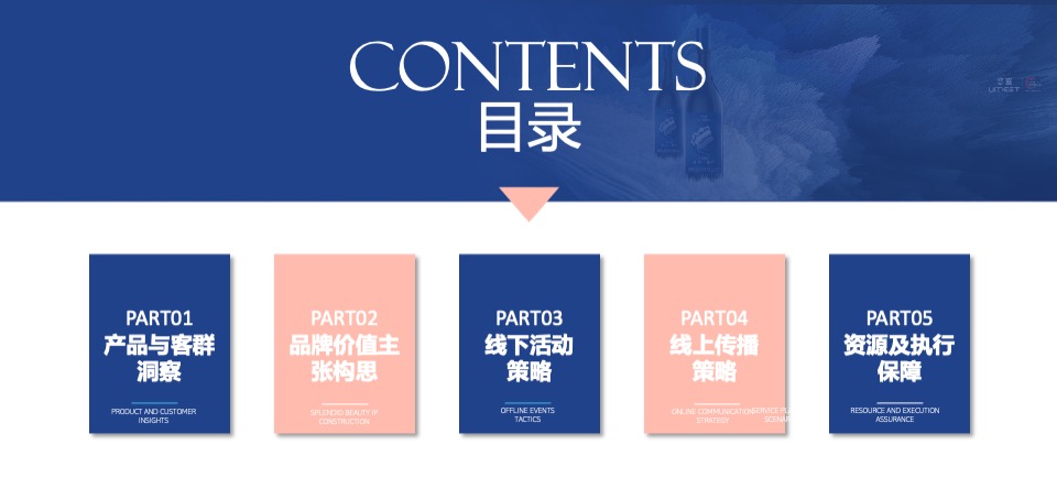 蓝莓果酒品牌年度推广策略提案