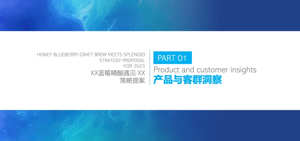 蓝莓果酒品牌年度推广策略提案