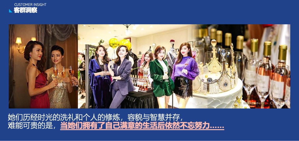 蓝莓果酒品牌年度推广策略提案