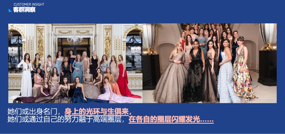 蓝莓果酒品牌年度推广策略提案