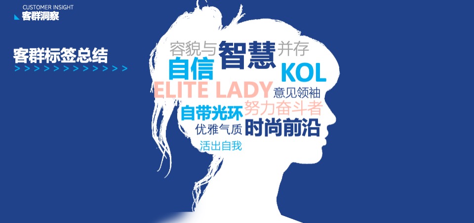 蓝莓果酒品牌年度推广策略提案