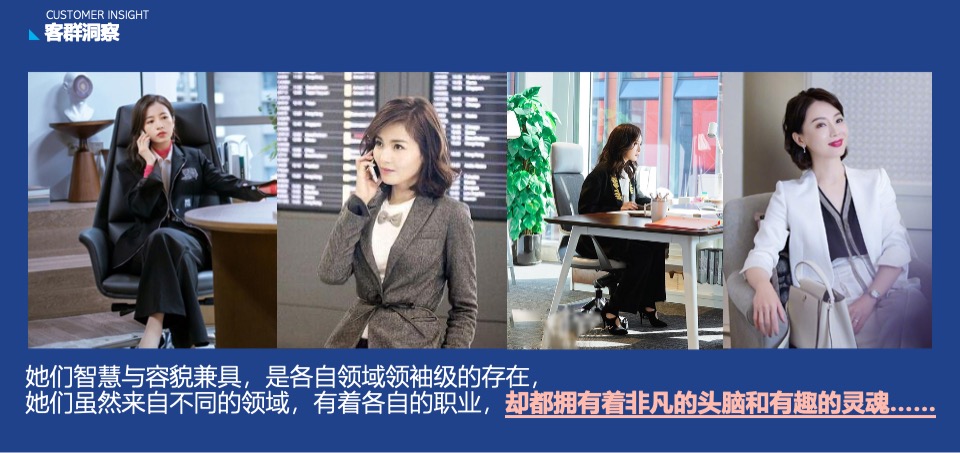 蓝莓果酒品牌年度推广策略提案