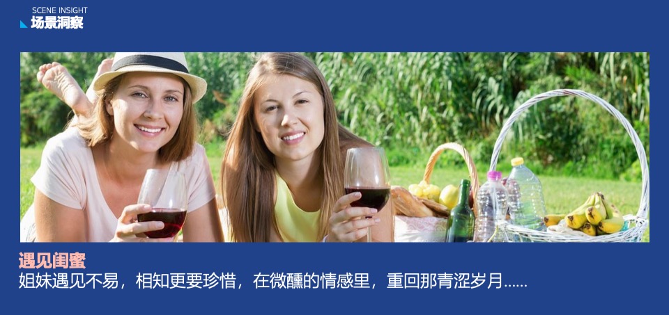 蓝莓果酒品牌年度推广策略提案