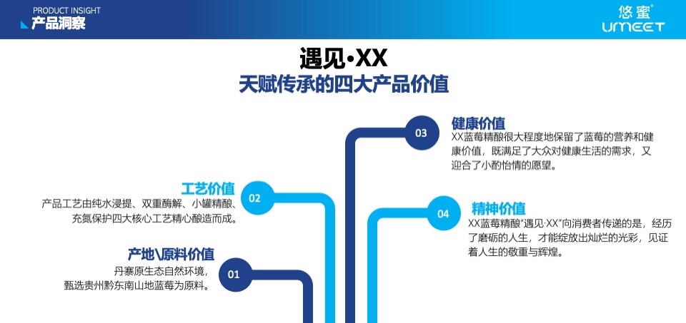 蓝莓果酒品牌年度推广策略提案