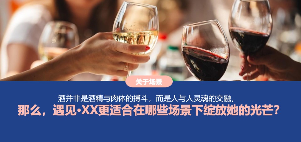 蓝莓果酒品牌年度推广策略提案