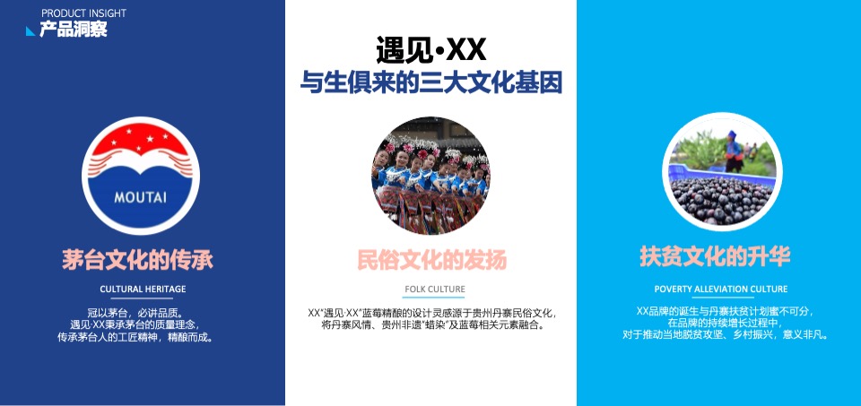 蓝莓果酒品牌年度推广策略提案