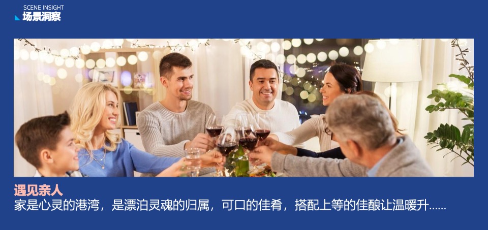 蓝莓果酒品牌年度推广策略提案