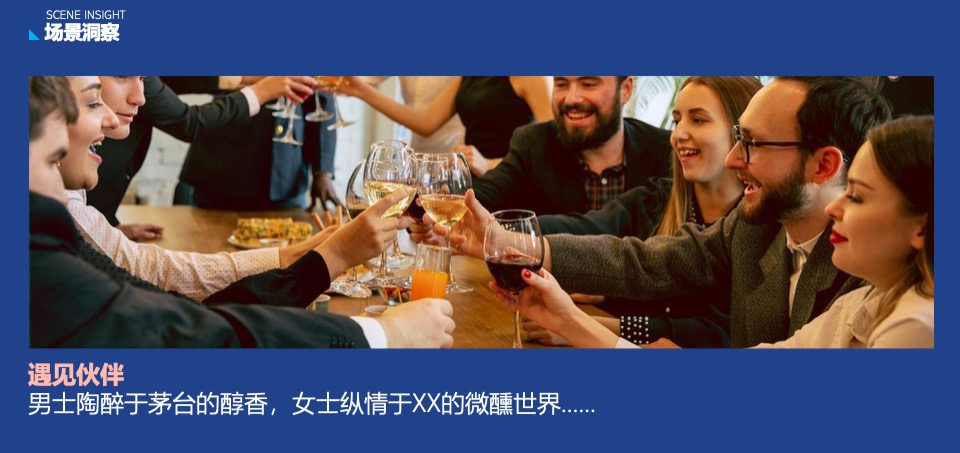 蓝莓果酒品牌年度推广策略提案
