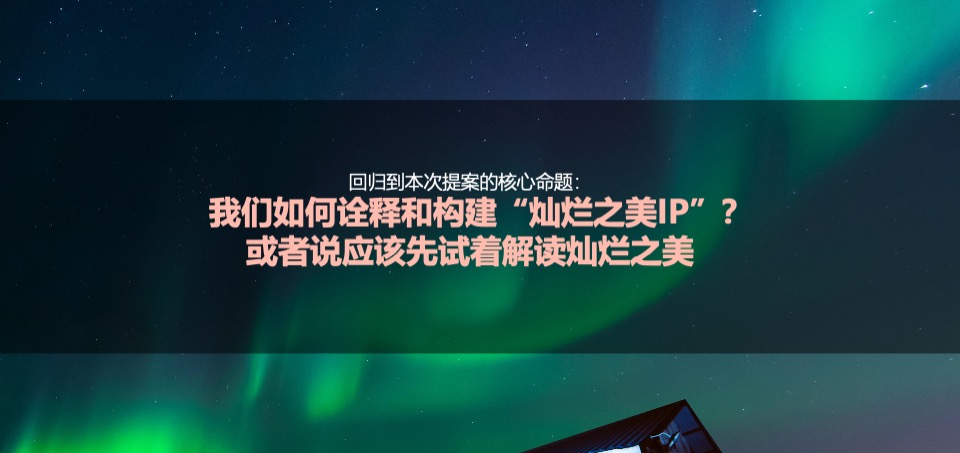 蓝莓果酒品牌年度推广策略提案