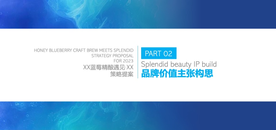 蓝莓果酒品牌年度推广策略提案