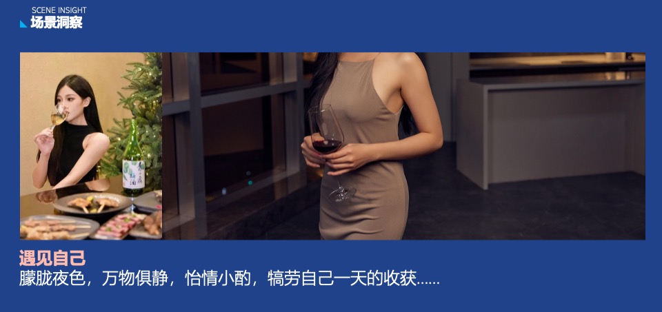 蓝莓果酒品牌年度推广策略提案