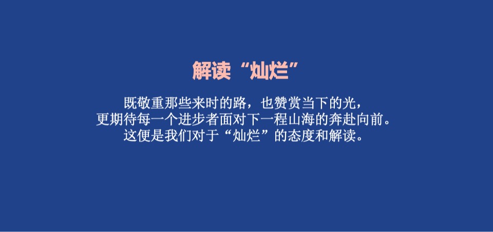 蓝莓果酒品牌年度推广策略提案
