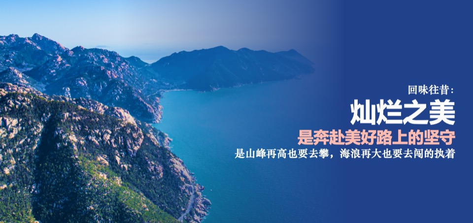 蓝莓果酒品牌年度推广策略提案