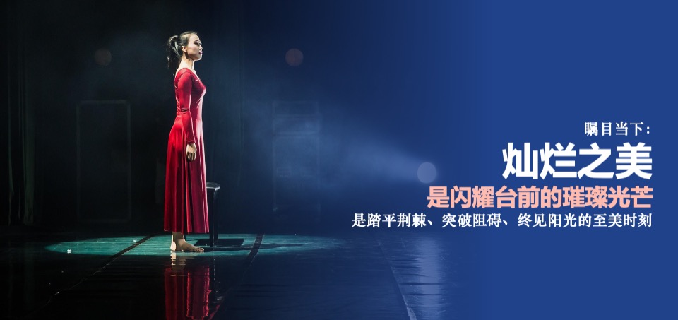 蓝莓果酒品牌年度推广策略提案