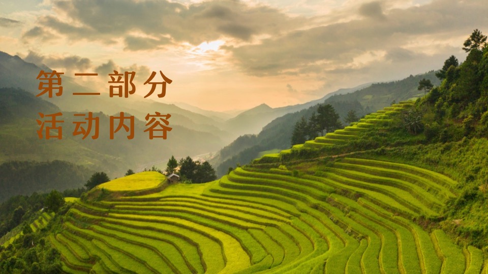 稻田农场丰收节系列（稻田里的丰收盛宴主题）活动策划方案