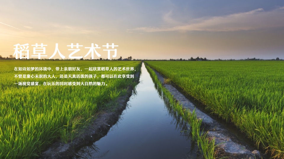 稻田农场丰收节系列（稻田里的丰收盛宴主题）活动策划方案