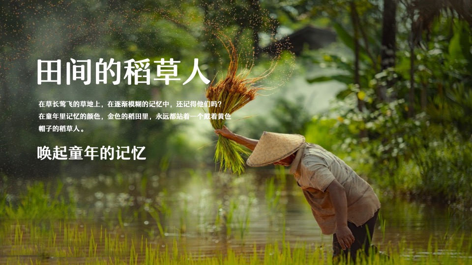 稻田农场丰收节系列（稻田里的丰收盛宴主题）活动策划方案