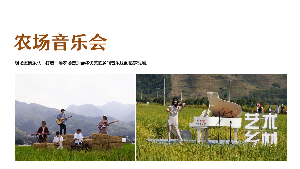 稻田农场丰收节系列（稻田里的丰收盛宴主题）活动策划方案