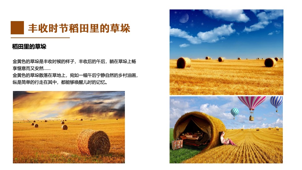稻田农场丰收节系列（稻田里的丰收盛宴主题）活动策划方案