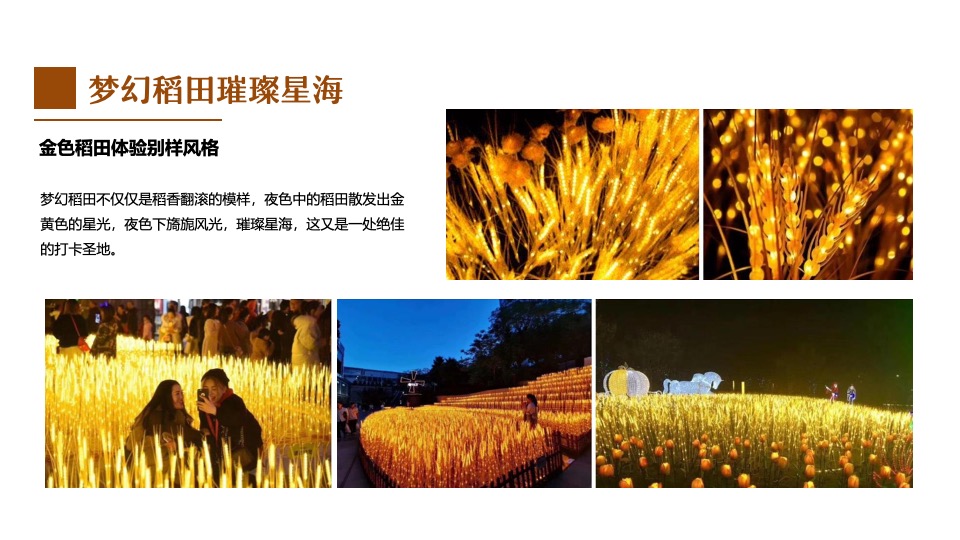 稻田农场丰收节系列（稻田里的丰收盛宴主题）活动策划方案