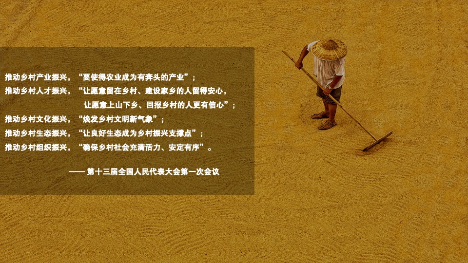 乡村丰收节盛典（稻谷飘香·鱼米丰收主题）活动策划方案