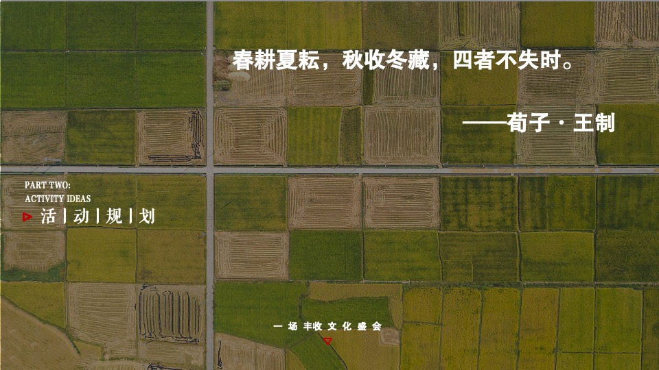 乡村丰收节盛典（稻谷飘香·鱼米丰收主题）活动策划方案
