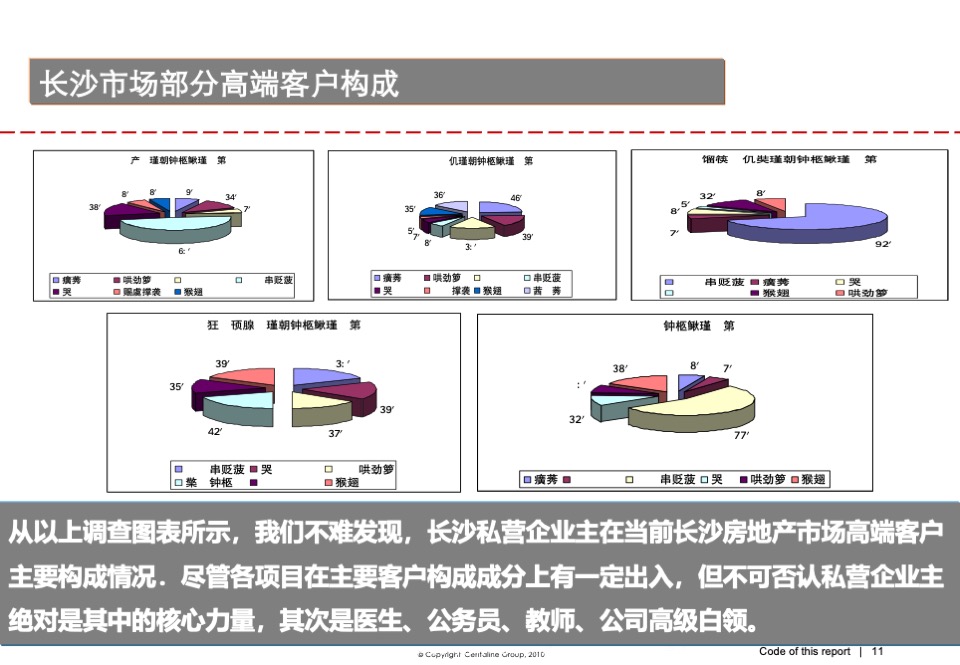 高鑫·天麓圈层营销策划案