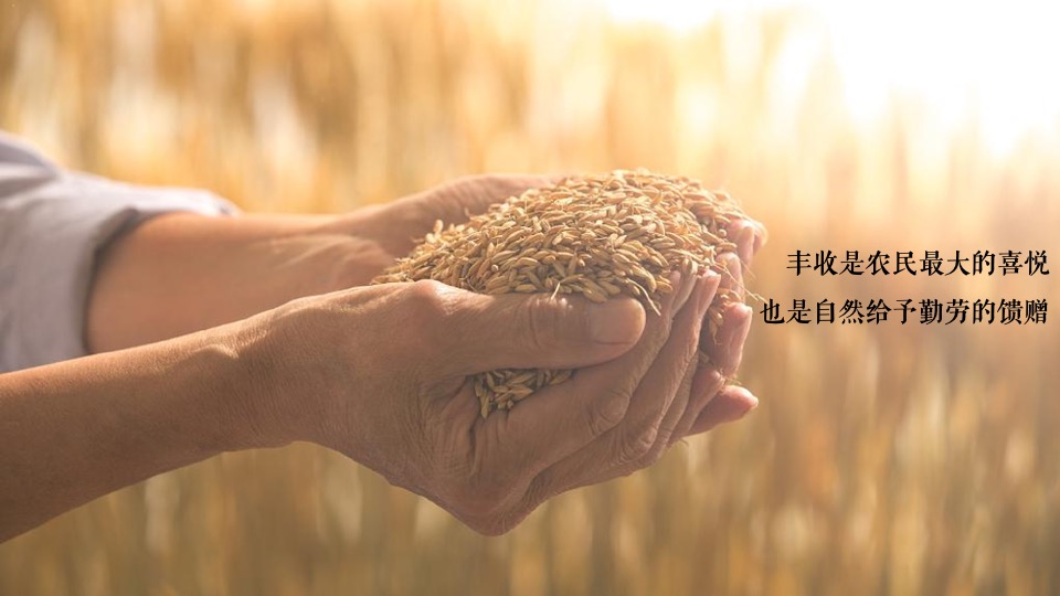 新津丰收节暨党建引领乡村振兴高峰论坛全案策划