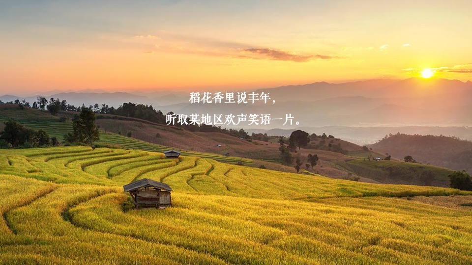 新津丰收节暨党建引领乡村振兴高峰论坛全案策划