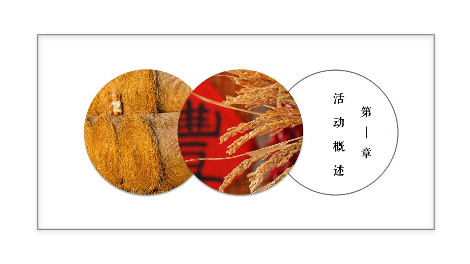 新津丰收节暨党建引领乡村振兴高峰论坛全案策划