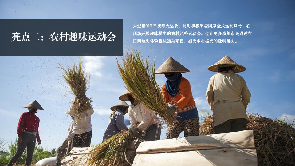 新津丰收节暨党建引领乡村振兴高峰论坛全案策划