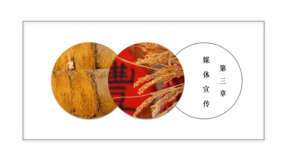 新津丰收节暨党建引领乡村振兴高峰论坛全案策划