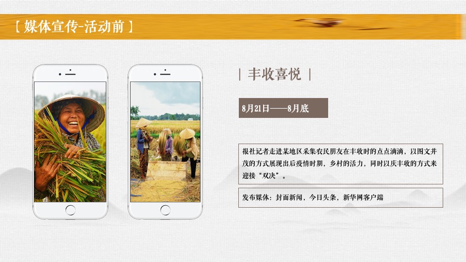 新津丰收节暨党建引领乡村振兴高峰论坛全案策划