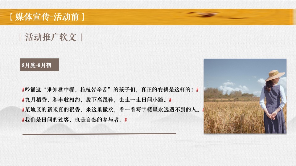 新津丰收节暨党建引领乡村振兴高峰论坛全案策划