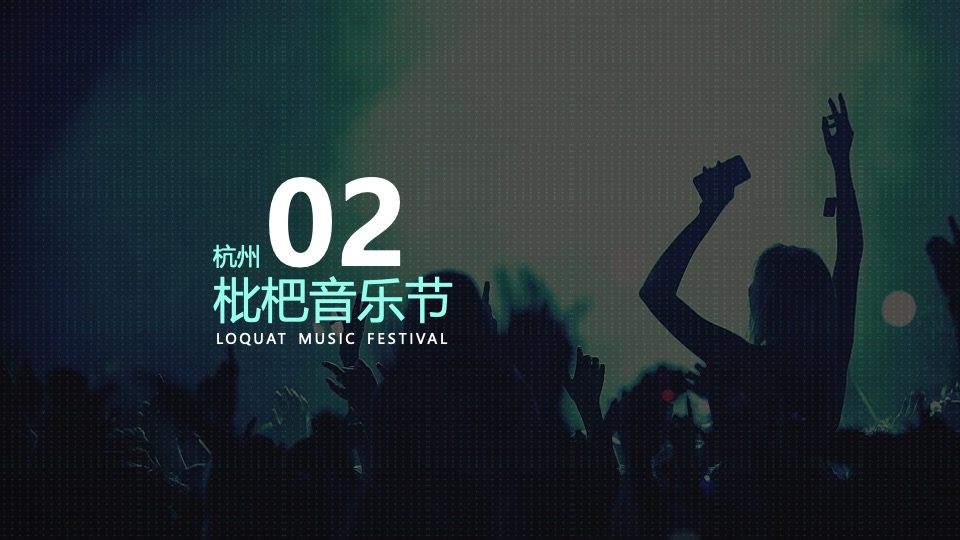 杭州枇杷音乐节招商方案