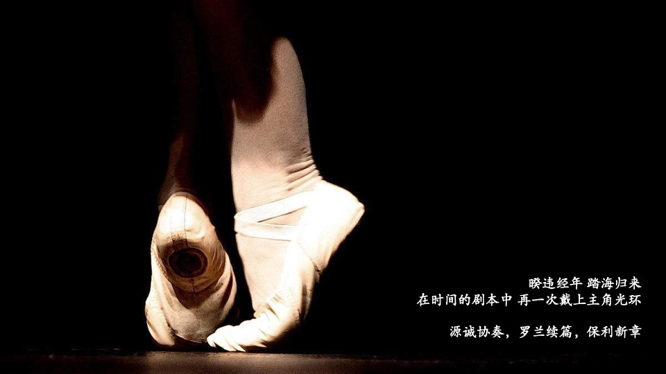 保利源诚时涧项目形象定位暨推广策划案