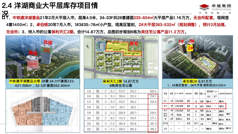 长沙商业大平层市场分析及卓越晴翠产品定位思路