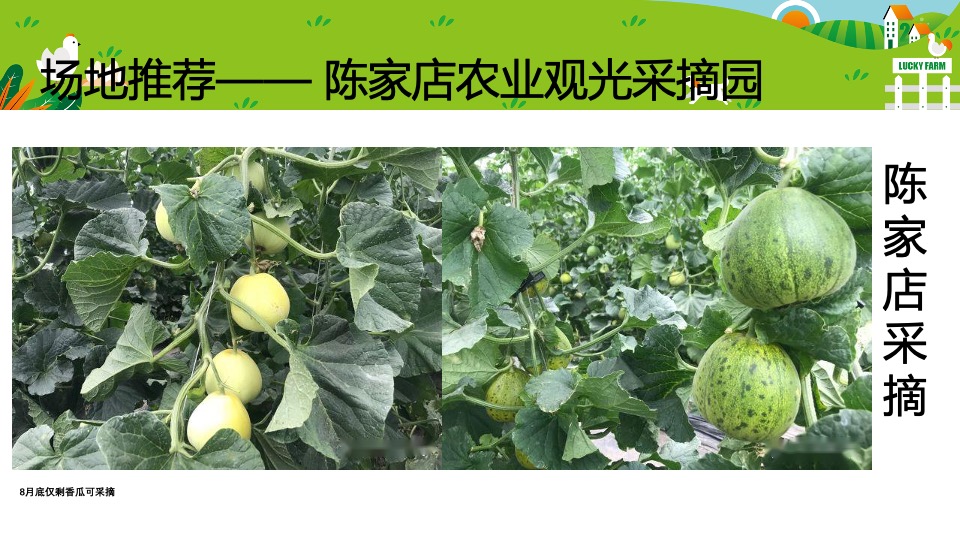 银行职工秋季团建（拾趣山野间主题）活动策划方案