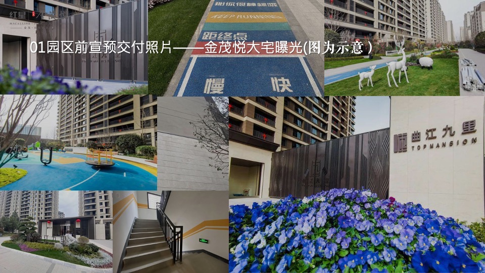 地产项目交付系列（恰有臻境入金茂主题）活动策划方案