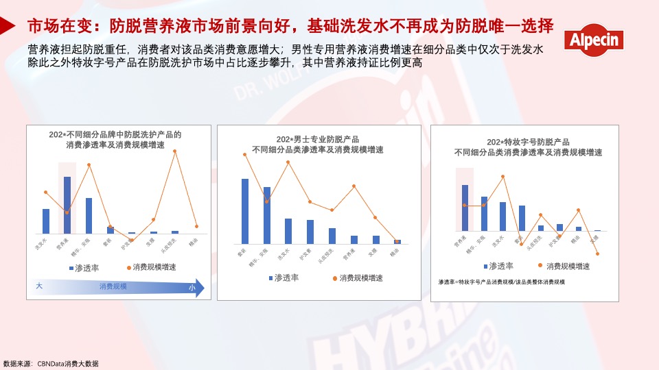 防脱洗护品牌年度传播推广策划方案